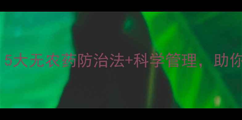 图片 谷子防鸟终极指南：5大无农药防治法+科学管理，助你丰收无忧！🌾🦜✨1