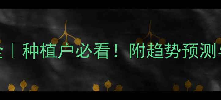 图片 豆泊价格波动全｜种植户必看！附趋势预测与避坑指南🌱💡