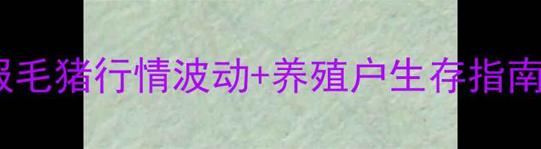 图片 辽中县生猪价格周报毛猪行情波动+养殖户生存指南（附最新成交价）2