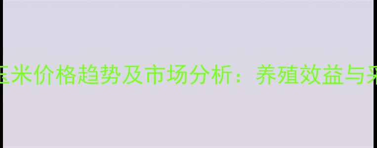 图片 进口饲料玉米价格趋势及市场分析：养殖效益与采购策略全