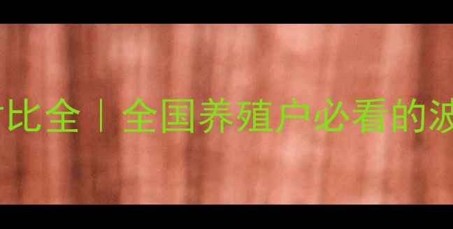 图片 邛崃生猪价格各省对比全｜全国养殖户必看的波动趋势与应对指南2