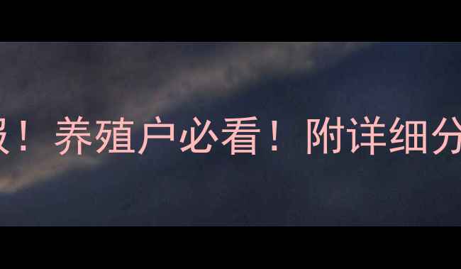 图片 钟山县生猪价格今日播报！养殖户必看！附详细分析及未来趋势预测🐷💰1