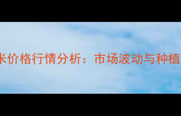 图片 陕西国维玉米价格行情分析：市场波动与种植户应对策略1