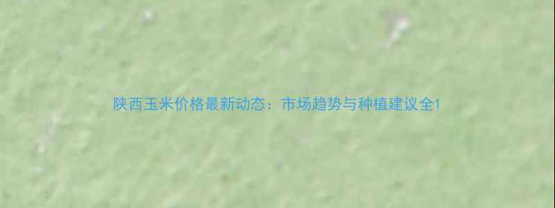 图片 陕西玉米价格最新动态：市场趋势与种植建议全1