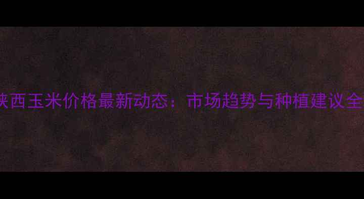 图片 陕西玉米价格最新动态：市场趋势与种植建议全2