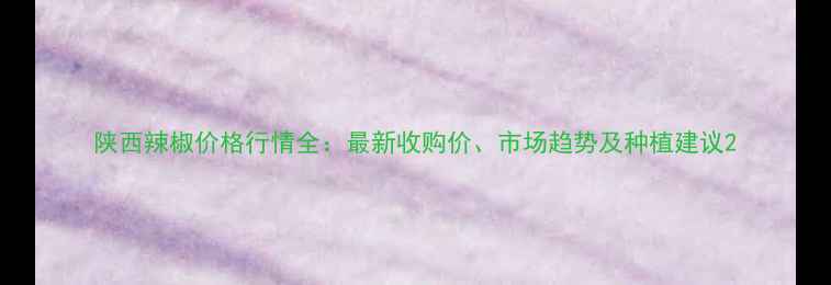 图片 陕西辣椒价格行情全：最新收购价、市场趋势及种植建议2