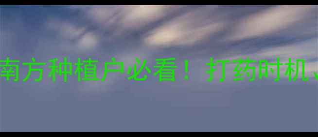 图片 雨季农药使用全攻略：南方种植户必看！打药时机、注意事项及避坑指南2