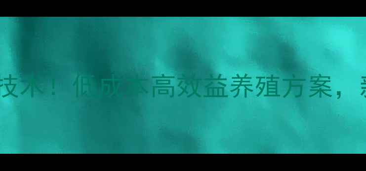 图片 饲料发酵养鸡技术！低成本高效益养殖方案，新手必看🐔💰2