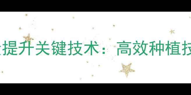 图片 饲料玉米亩产量提升关键技术：高效种植技术与增产案例2