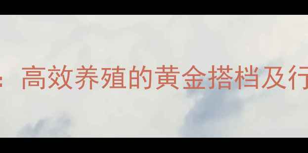 图片 饲料用卵磷脂：高效养殖的黄金搭档及行业应用新趋势