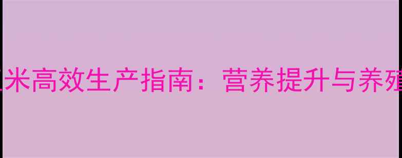 图片 饲料用熟化玉米高效生产指南：营养提升与养殖效益双突破2