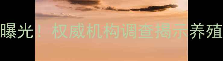 图片 饲料行业十大安全隐患曝光！权威机构调查揭示养殖户必看风险与应对指南