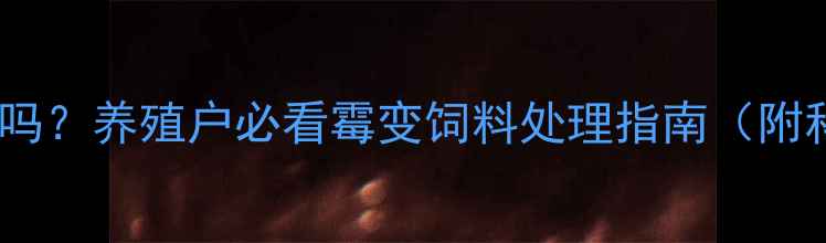 图片 饲料轻微发霉能喂猪吗？养殖户必看霉变饲料处理指南（附科学检测+保存技巧）