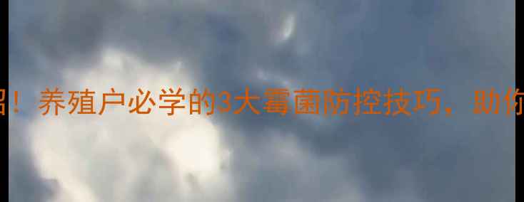 图片 饲料防霉有妙招！养殖户必学的3大霉菌防控技巧，助你稳赚不赔🐔🌾2