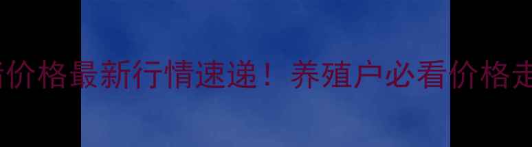 图片 驻马店汝南生猪价格最新行情速递！养殖户必看价格走势+养殖干货全