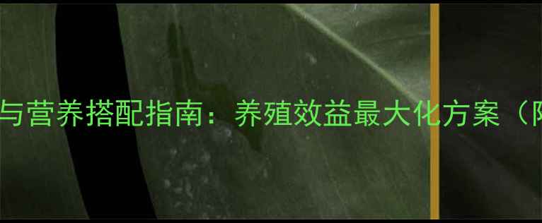 图片 鸡鸭饲料科学配方与营养搭配指南：养殖效益最大化方案（附成本控制技巧）2