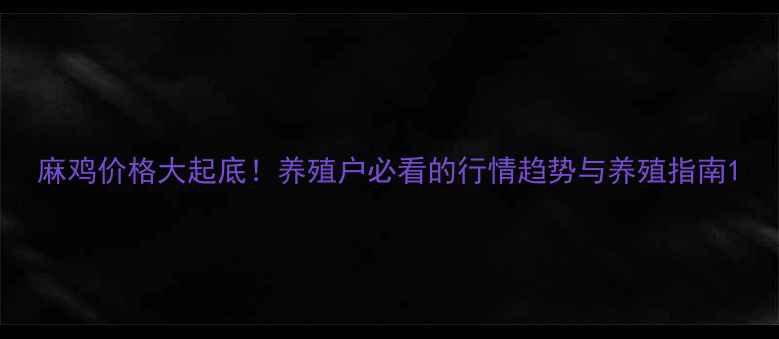 图片 麻鸡价格大起底！养殖户必看的行情趋势与养殖指南1