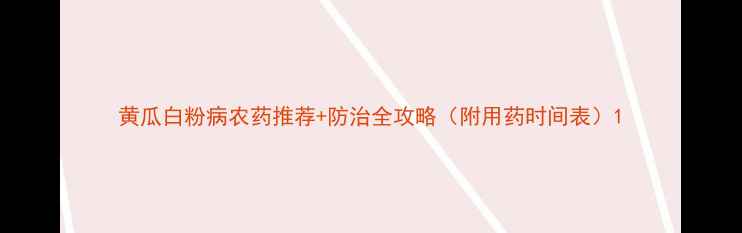 图片 黄瓜白粉病农药推荐+防治全攻略（附用药时间表）1