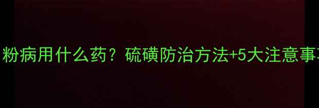 图片 黄瓜白粉病用什么药？硫磺防治方法+5大注意事项全！