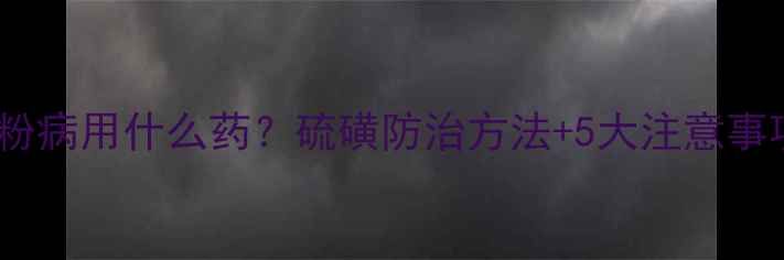 图片 黄瓜白粉病用什么药？硫磺防治方法+5大注意事项全！1