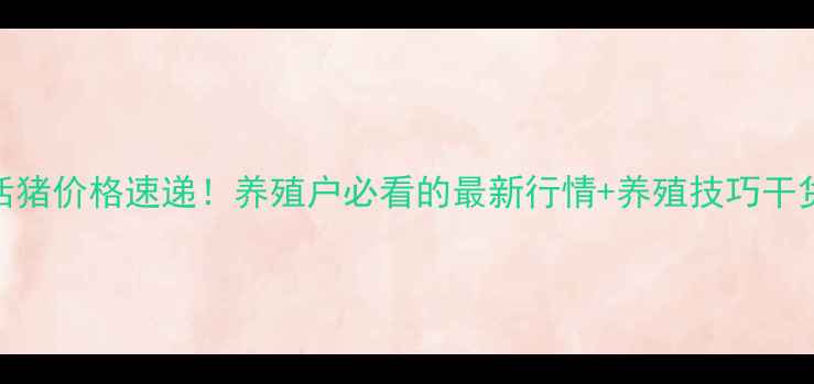 图片 🌟今日山东活猪价格速递！养殖户必看的最新行情+养殖技巧干货，速存！🌟