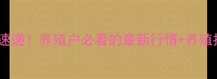 图片 🌟今日山东活猪价格速递！养殖户必看的最新行情+养殖技巧干货，速存！🌟1