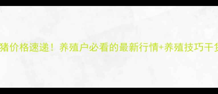 图片 🌟今日山东活猪价格速递！养殖户必看的最新行情+养殖技巧干货，速存！🌟2