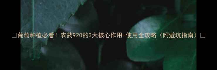 图片 🌟葡萄种植必看！农药920的3大核心作用+使用全攻略（附避坑指南）🍇