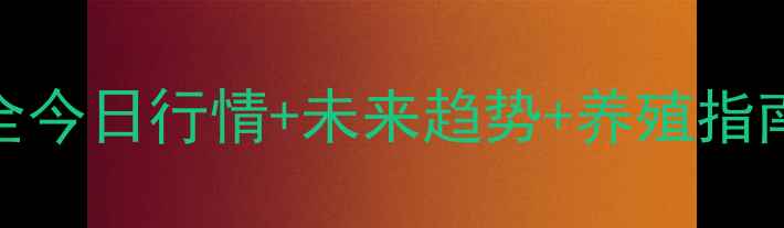 图片 🌟邯郸鸡蛋价格全今日行情+未来趋势+养殖指南！养殖户必看🥚
