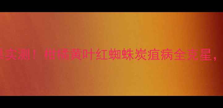 图片 🌟青桔立克效果实测！柑橘黄叶红蜘蛛炭疽病全克星，果农必看！🌟1