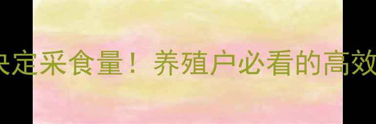 图片 🌟饲料效率决定采食量！养殖户必看的高效养殖秘籍🐟2