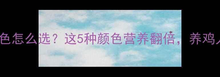 图片 🌟鸡饲料颜色怎么选？这5种颜色营养翻倍，养鸡人必看！🌟2