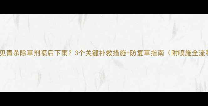 图片 🌧️见青杀除草剂喷后下雨？3个关键补救措施+防复草指南（附喷施全流程）2