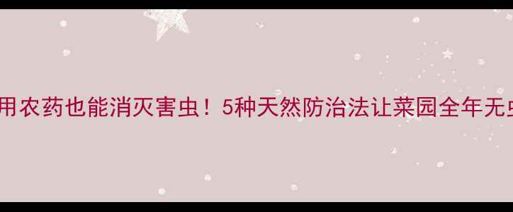 图片 🌱不用农药也能消灭害虫！5种天然防治法让菜园全年无虫🌾1