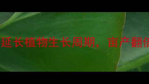 图片 🌱农药新玩法！延长植物生长周期，亩产翻倍秘籍大公开！2