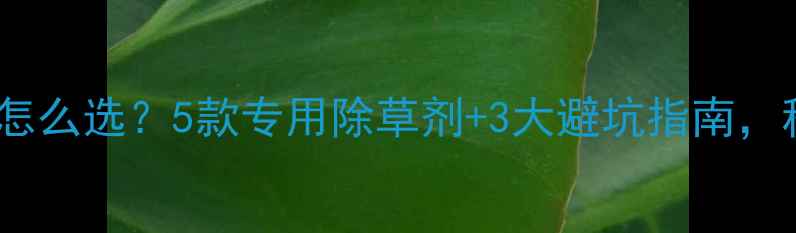 图片 🌱大蒜除草剂怎么选？5款专用除草剂+3大避坑指南，种蒜人必看！1