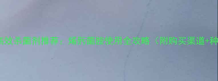 图片 🌱山东地区高效杀菌剂推荐：烯肟菌胺使用全攻略（附购买渠道+种植技巧）🌱2