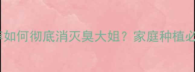 图片 🌱最新农药推荐如何彻底消灭臭大姐？家庭种植必看防治指南🔥2