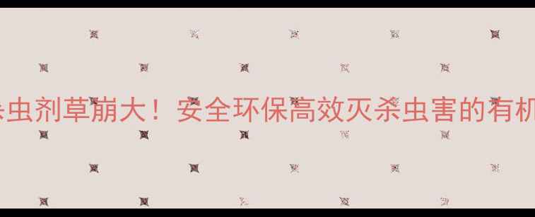 图片 🌱植物杀虫剂草崩大！安全环保高效灭杀虫害的有机卫士🌿1