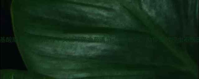 图片 🌱氨基酸脂类杀虫剂推荐｜天然环保农药清单+使用技巧，助你高效控虫不伤田🌾2