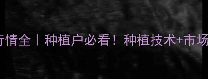 图片 🌱牛毛草价格行情全｜种植户必看！种植技术+市场趋势+销路攻略