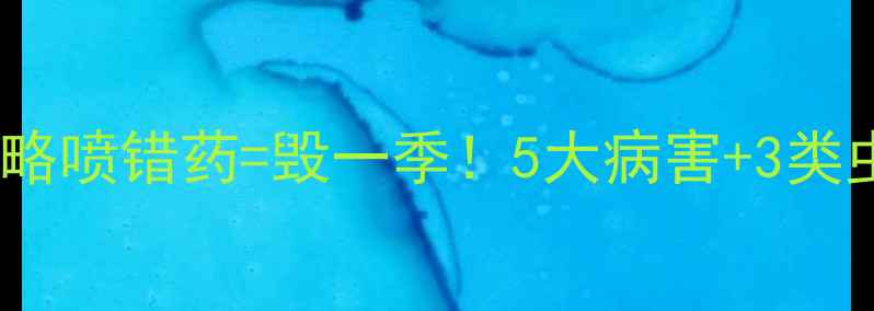 图片 🌱玉米幼苗农药全攻略喷错药=毁一季！5大病害+3类虫害精准用药指南🔥2