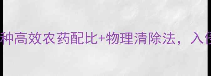 图片 🌱竹子防治终极指南：3种高效农药配比+物理清除法，入侵竹子一周内彻底根除！