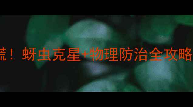 图片 🌱红薯虫爆发期别慌！蚜虫克星+物理防治全攻略（附用药时间表）1