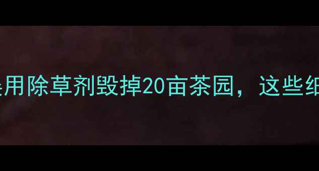 图片 🌱茶农血泪教训！误用除草剂毁掉20亩茶园，这些细节必须注意！🚫💧1