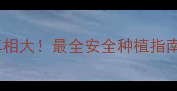 图片 🌱茶叶农药残留真相大！最全安全种植指南（附自检方法）1