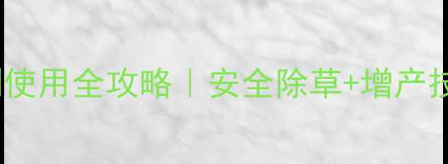 图片 🌱菠菜田除草剂使用全攻略｜安全除草+增产技巧一篇说清！1