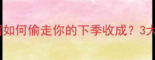 图片 🌱警惕！除草剂残留如何偷走你的下季收成？3大隐患+5招补救指南1