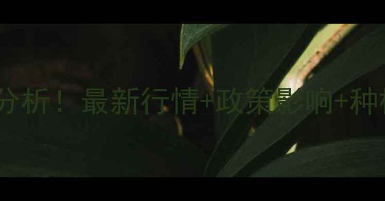 图片 🌱进口大豆价格走势分析！最新行情+政策影响+种植建议（附数据）📊1