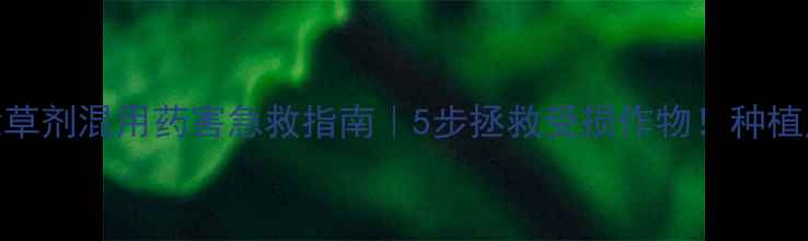 图片 🌱骠马除草剂混用药害急救指南｜5步拯救受损作物！种植户必看🔥